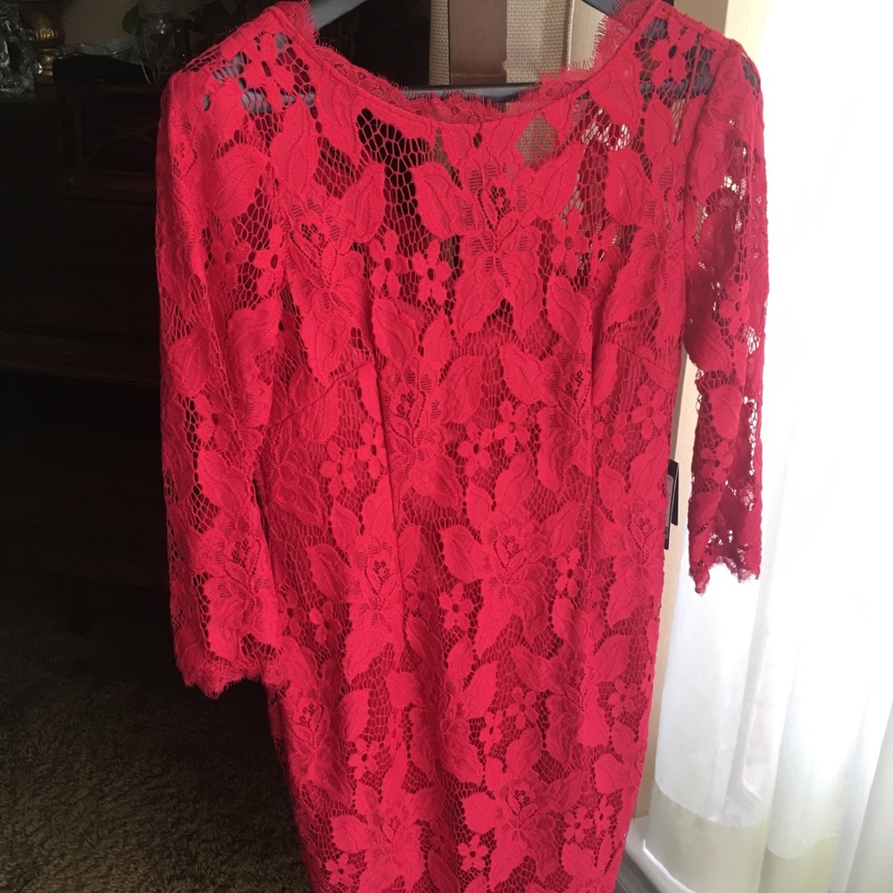 Beautiful Petite Adrianna Papell dress
